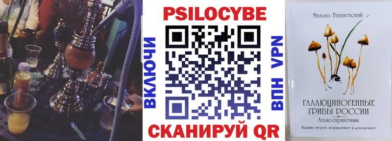 Псилоцибиновые грибы мухоморы  закладка  МЕГА как войти  Дербент 